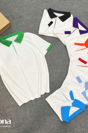 BST Polo phối màu B01 BST Polo phối màu B01