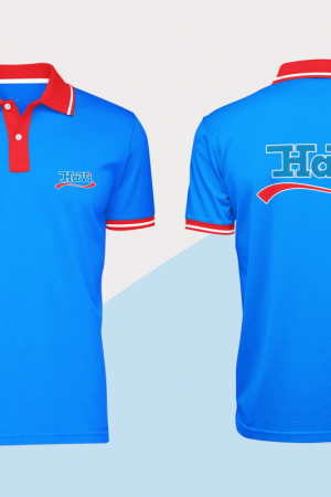 Mẫu áo thun Havi DM04 Mẫu áo thun Havi DM04