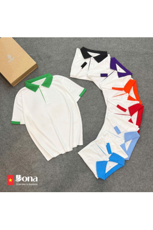 BST Polo phối màu B01 BST Polo phối màu B01