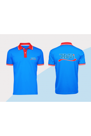 Mẫu áo thun Havi DM04 Mẫu áo thun Havi DM04